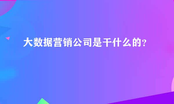 大数据营销公司是干什么的？