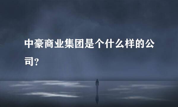 中豪商业集团是个什么样的公司？