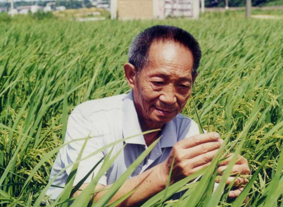 长沙外卖小哥说外卖单全是鲜花，袁隆平院士在百姓心目中的地位如何？