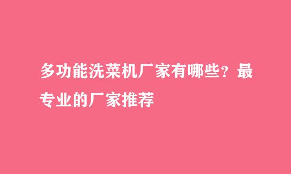 多功能洗菜机厂家有哪些？最专业的厂家推荐