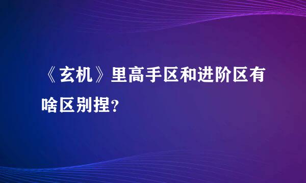 《玄机》里高手区和进阶区有啥区别捏？