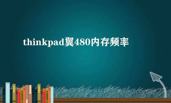 thinkpad翼480内存频率