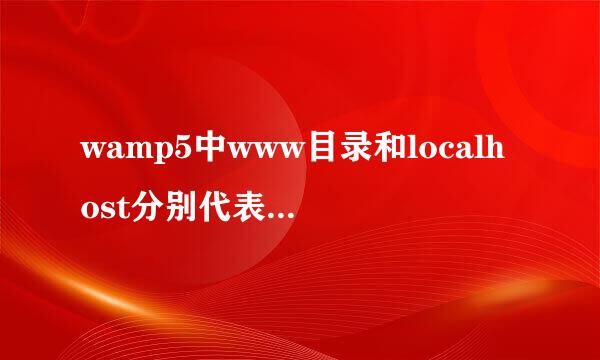 wamp5中www目录和localhost分别代表什么呀？