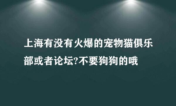 上海有没有火爆的宠物猫俱乐部或者论坛?不要狗狗的哦