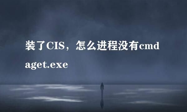 装了CIS，怎么进程没有cmdaget.exe