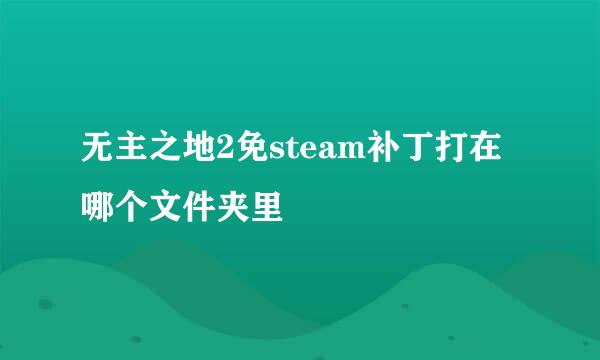 无主之地2免steam补丁打在哪个文件夹里