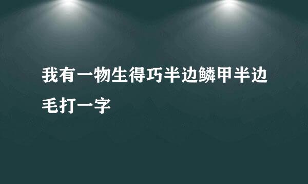 我有一物生得巧半边鳞甲半边毛打一字