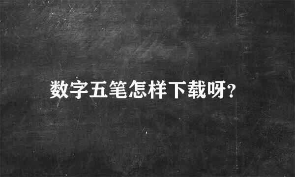 数字五笔怎样下载呀？