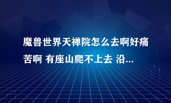 魔兽世界天禅院怎么去啊好痛苦啊 有座山爬不上去 沿着桥只能去雷掌阁