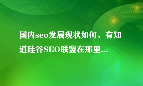 国内seo发展现状如何，有知道硅谷SEO联盟在那里吗？有没有联盟的网址啊？