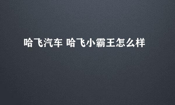 哈飞汽车 哈飞小霸王怎么样