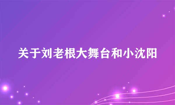 关于刘老根大舞台和小沈阳