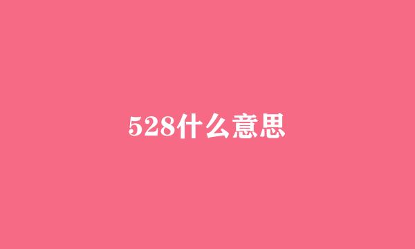 528什么意思