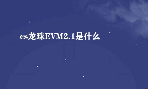 cs龙珠EVM2.1是什么