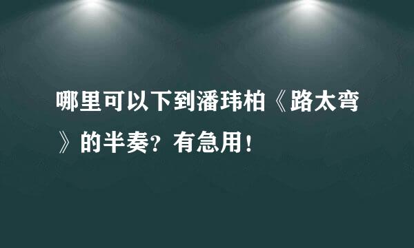 哪里可以下到潘玮柏《路太弯》的半奏？有急用！