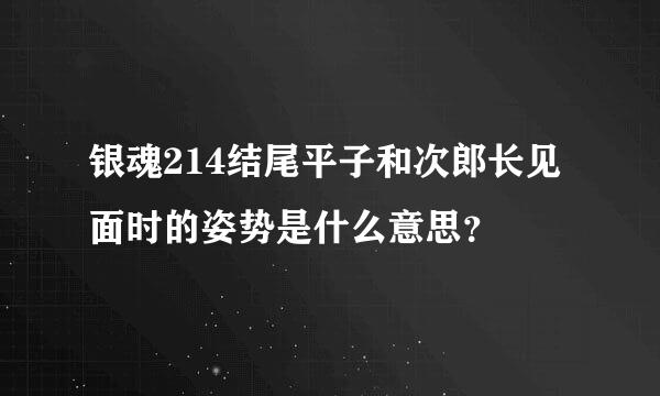 银魂214结尾平子和次郎长见面时的姿势是什么意思？