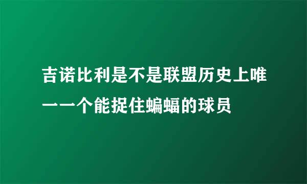 吉诺比利是不是联盟历史上唯一一个能捉住蝙蝠的球员