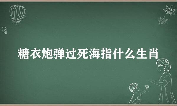 糖衣炮弹过死海指什么生肖