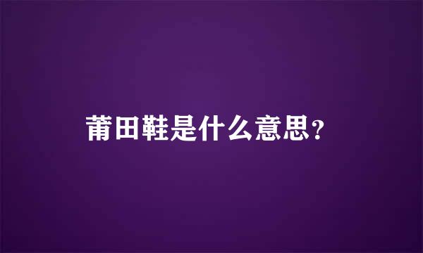 莆田鞋是什么意思？