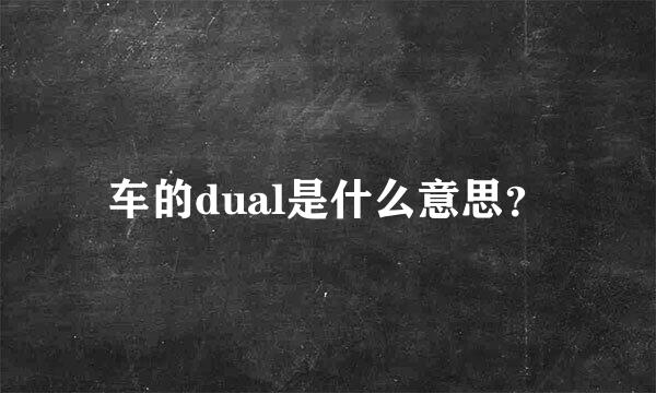 车的dual是什么意思？