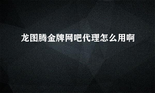 龙图腾金牌网吧代理怎么用啊