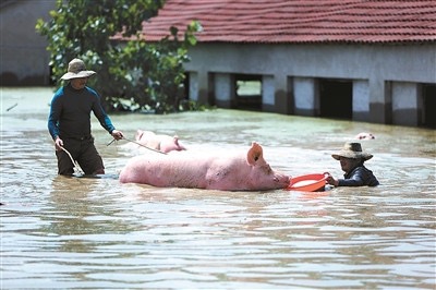 湖北多地遭遇特大暴雨，给当地造成了多大的影响？