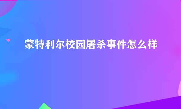 蒙特利尔校园屠杀事件怎么样