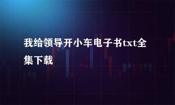 我给领导开小车电子书txt全集下载