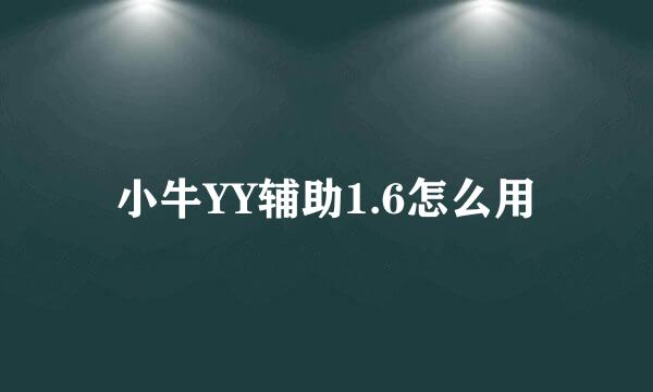 小牛YY辅助1.6怎么用