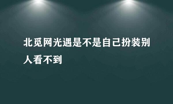 北觅网光遇是不是自己扮装别人看不到