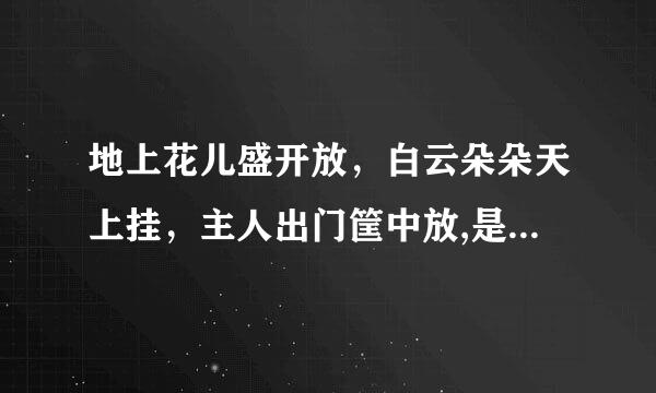 地上花儿盛开放，白云朵朵天上挂，主人出门筐中放,是啥么生肖啊？