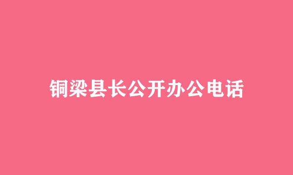 铜梁县长公开办公电话