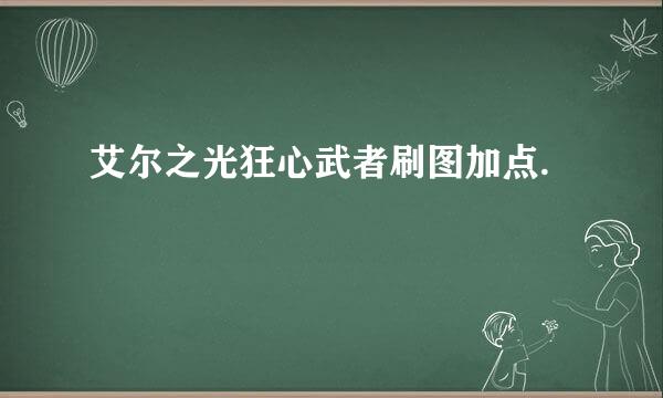 艾尔之光狂心武者刷图加点.