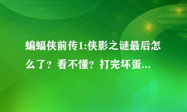 蝙蝠侠前传1:侠影之谜最后怎么了？看不懂？打完坏蛋的之后的请描述一下~谢谢~