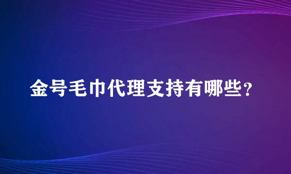 金号毛巾代理支持有哪些？