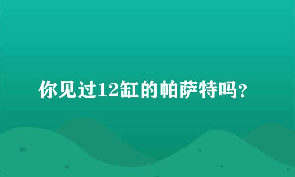 你见过12缸的帕萨特吗？