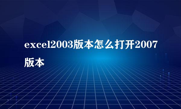 excel2003版本怎么打开2007版本