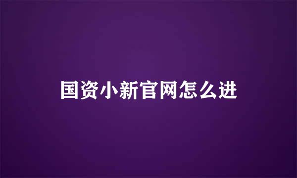 国资小新官网怎么进