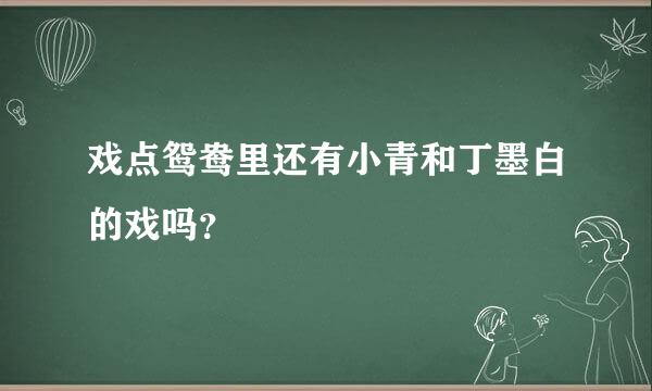 戏点鸳鸯里还有小青和丁墨白的戏吗？