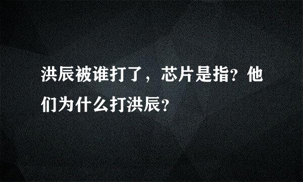 洪辰被谁打了，芯片是指？他们为什么打洪辰？