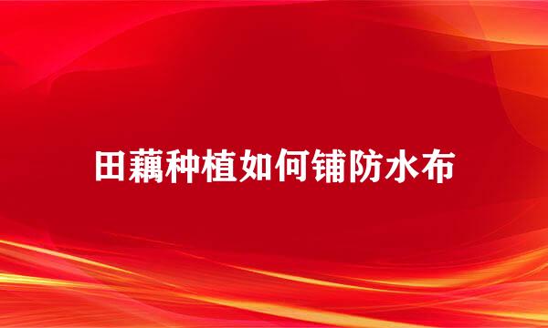 田藕种植如何铺防水布