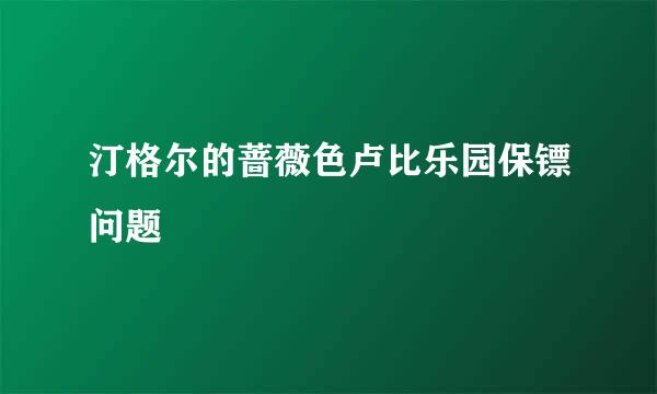 汀格尔的蔷薇色卢比乐园保镖问题