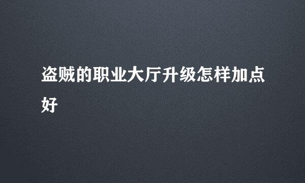 盗贼的职业大厅升级怎样加点好