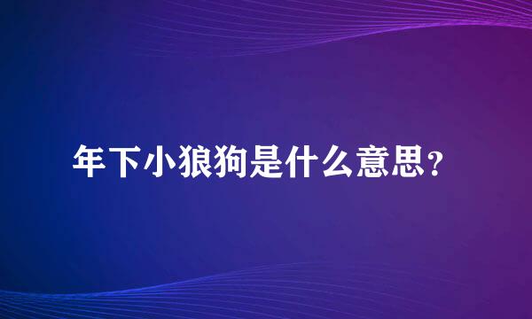 年下小狼狗是什么意思？