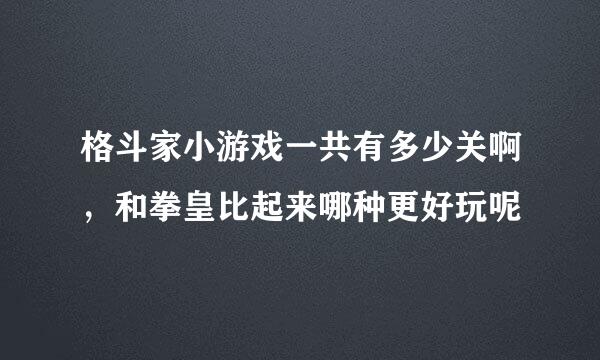 格斗家小游戏一共有多少关啊，和拳皇比起来哪种更好玩呢