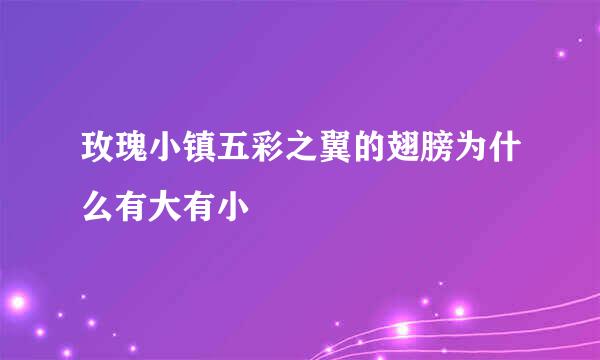 玫瑰小镇五彩之翼的翅膀为什么有大有小