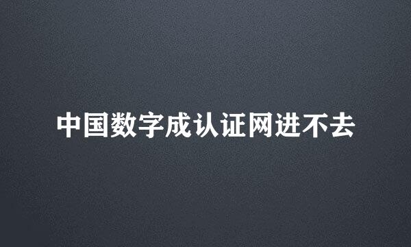 中国数字成认证网进不去