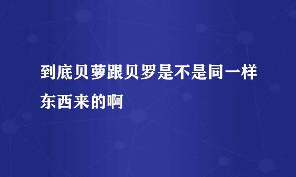 到底贝萝跟贝罗是不是同一样东西来的啊