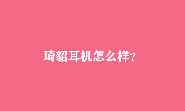 琦貂耳机怎么样？