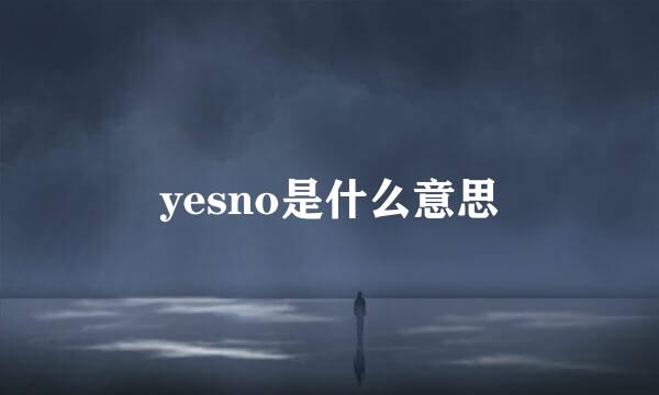 yesno是什么意思